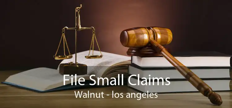 File Small Claims Walnut - los angeles